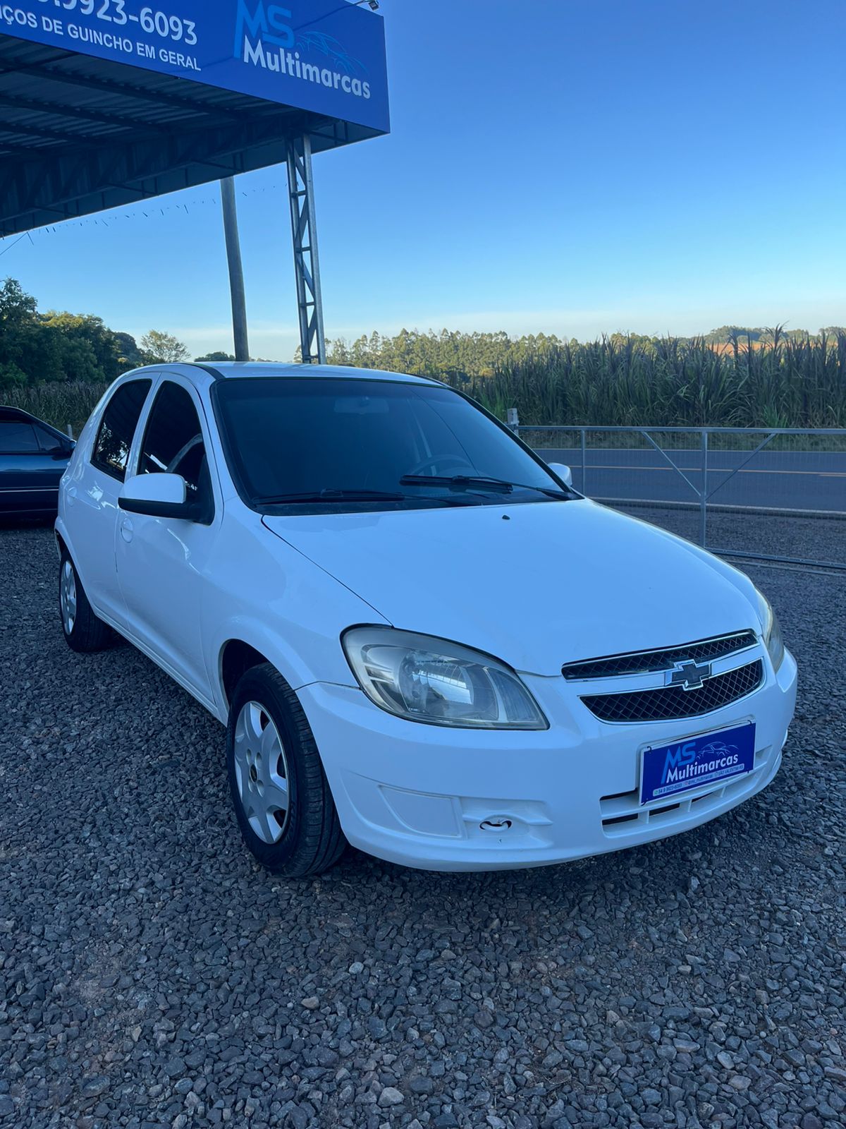 WhatsApp-Image-2026-03-15-at-17.45.36